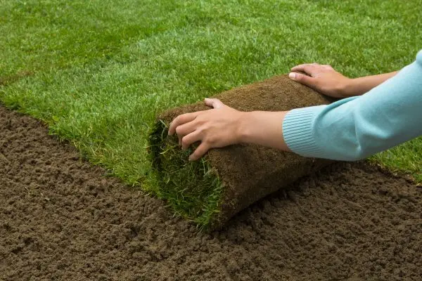 Beautiful garden landscaping and turfing to create your perfect outdoor space.